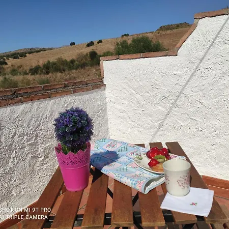 Bed and breakfast El Lagar De Pepe *