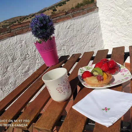 Bed and breakfast El Lagar De Pepe