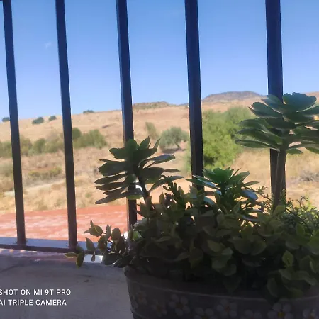 Bed and breakfast El Lagar De Pepe *